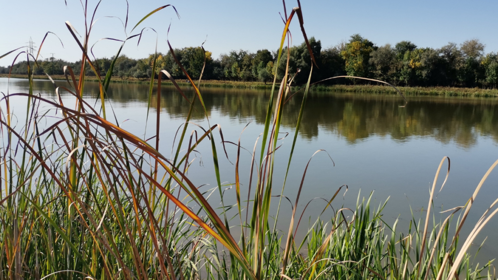 Adapting to Climate Change