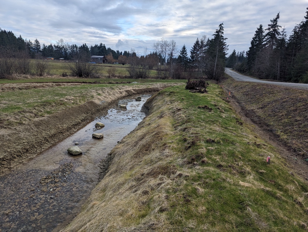 BEFORE: Site in February 2024 before restoration, looking downstream. 