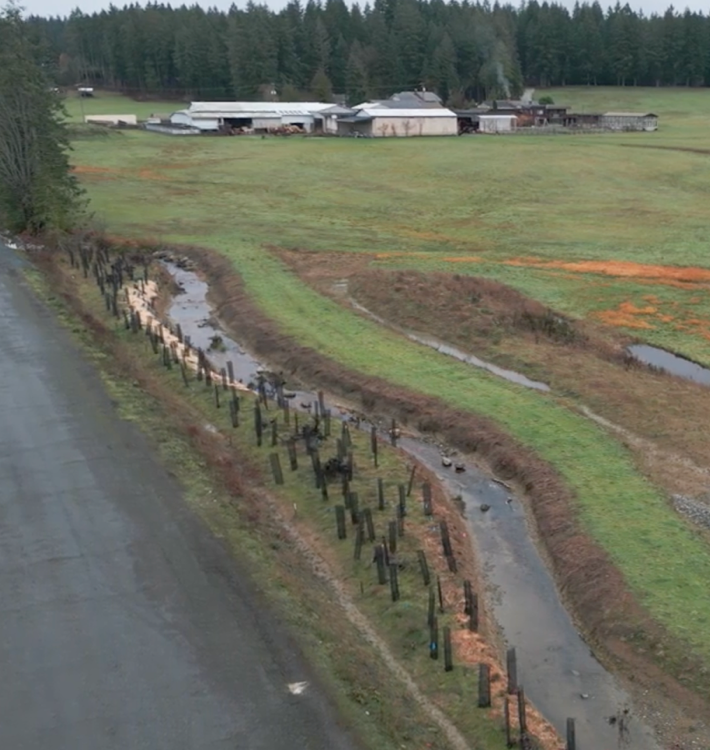 November 2025 – after culvert replace and Phase 1 planting 