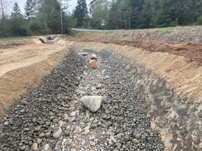 BEFORE restoration: Site in 2022 prior to site work. The original meander of the creek became filled with sediment, causing impediments to salmon survivability. Landowner and QEP restored the channel through moderate engineering work. 