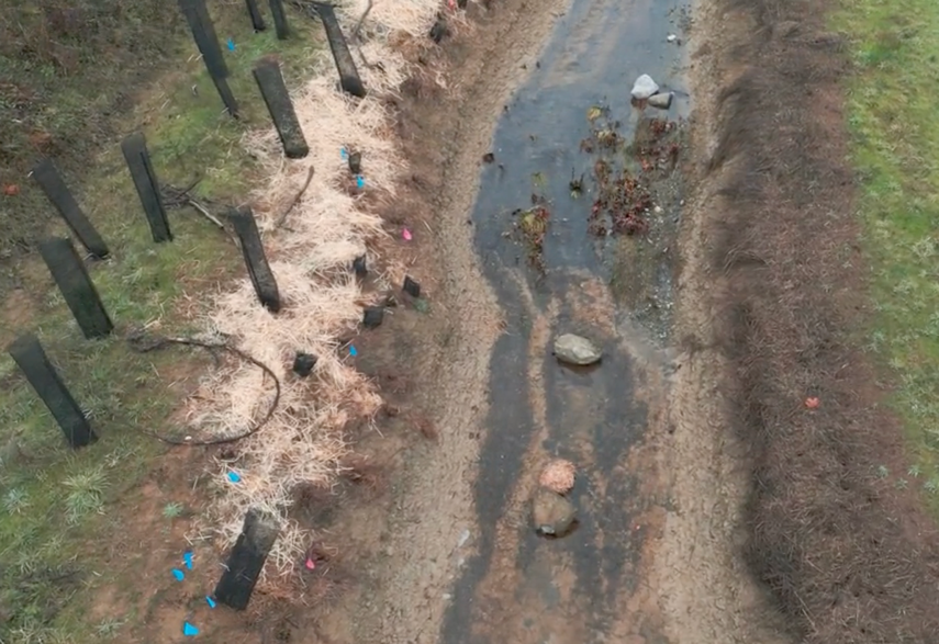 November 2025: repaired culvert and replanted riparian area 