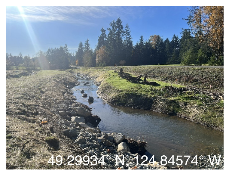 BEFORE restoration: Site during November 2023 assessment. 