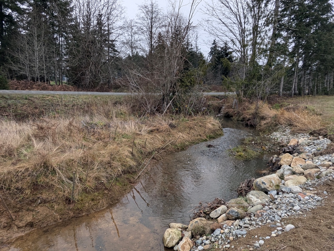 DURING: Phase 1, Bioengineering with live-staking to restore bank stability. December 2024. 