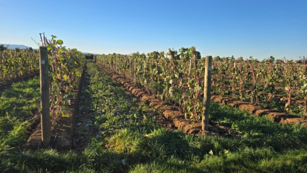 Strengthening Production with Support