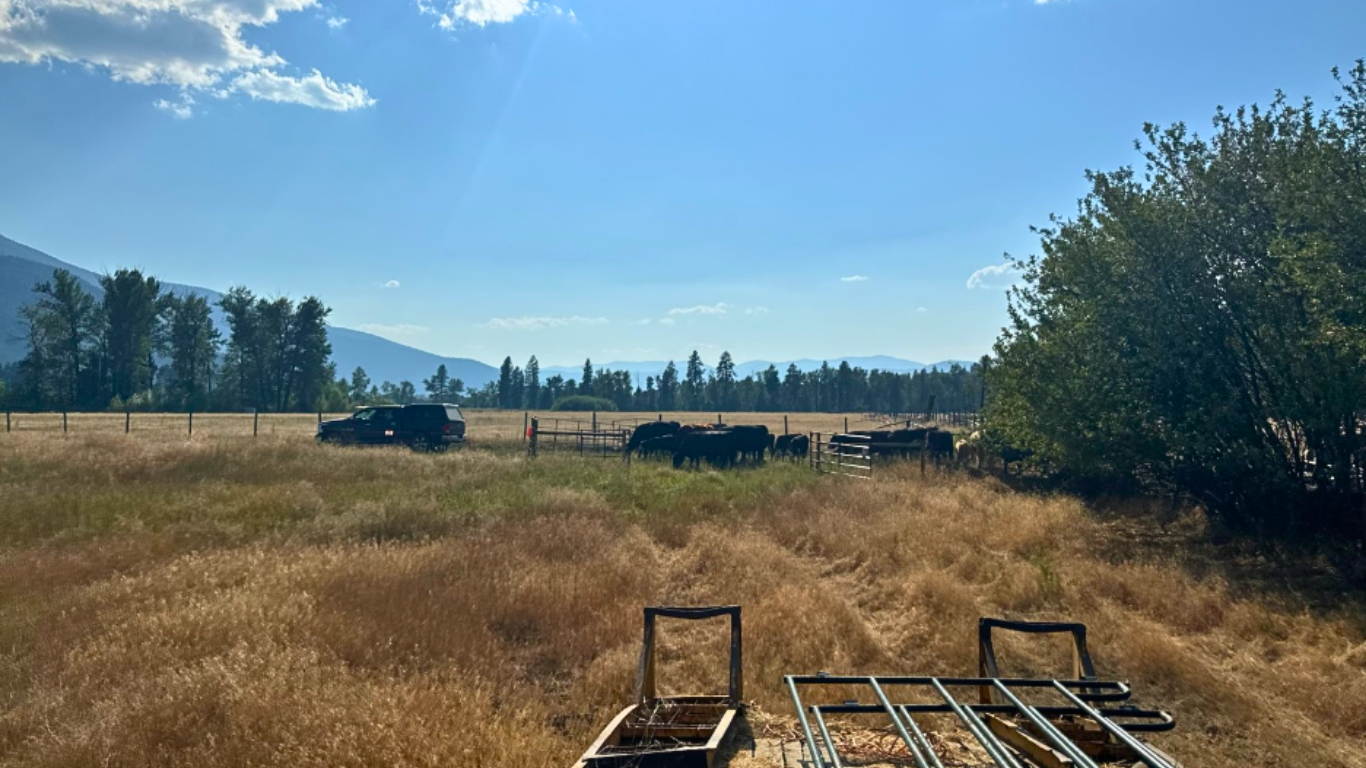 Beautiful scenery of a farm, Blue skies and scortched grasslands with agricultural equipment